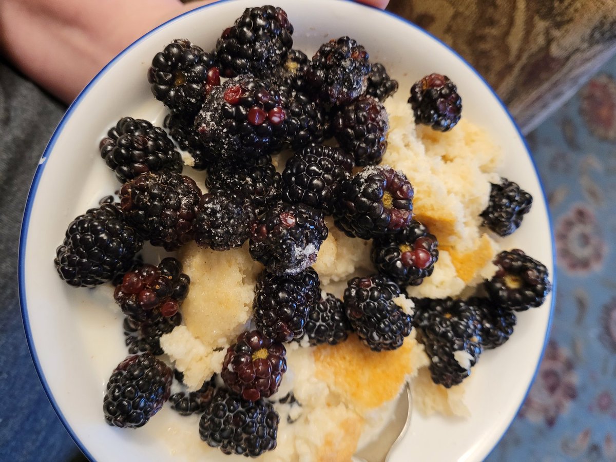 And they had bread, and milk, and blackberries for supper. #BeatrixPotter #PeterRabbit