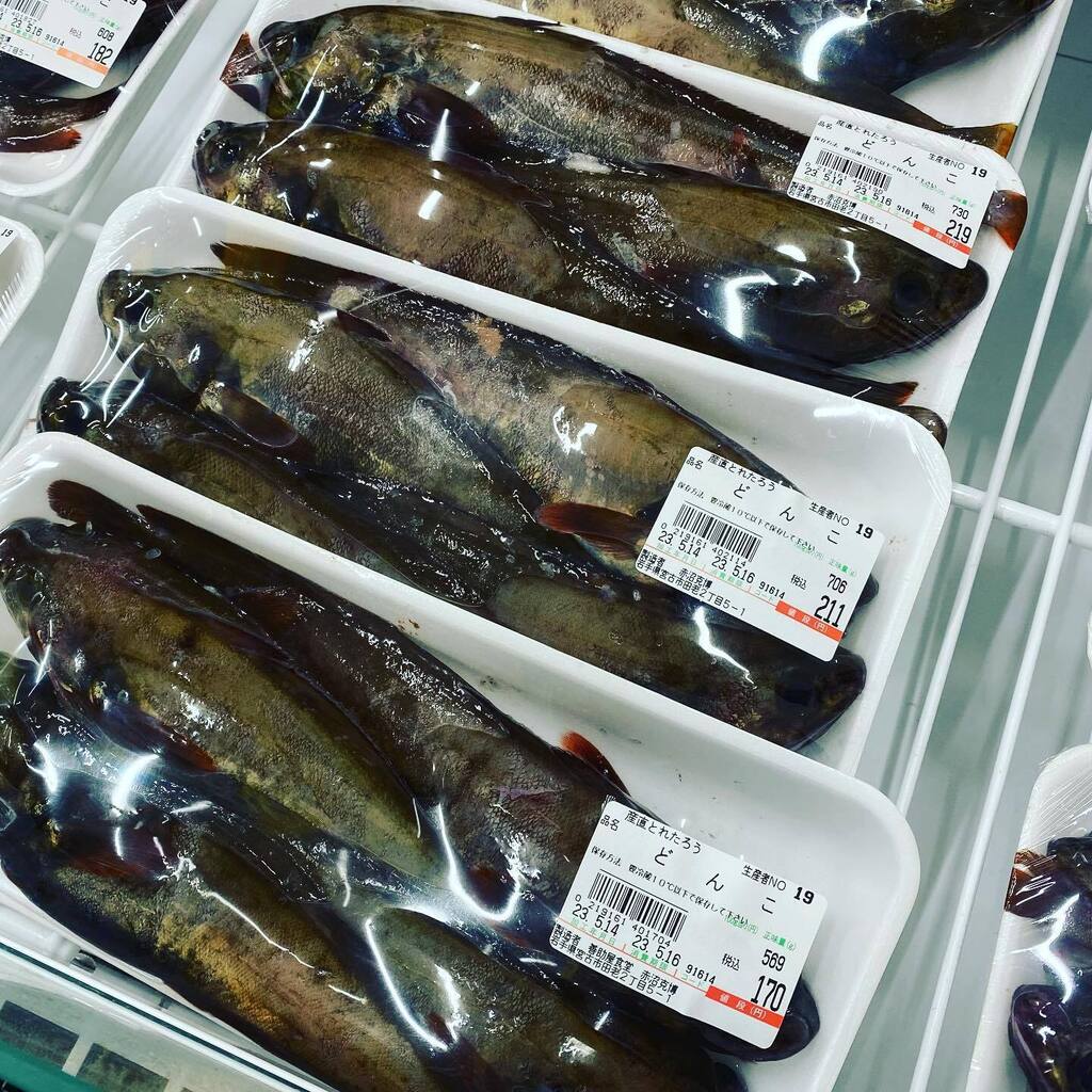 michinoeki_taro's tweet photo. おはようございます。
本日も#どんこ　がお買得です！
#ヘラガニ　もありますよ〜

#産直とれたろう
#道の駅たろう https://t.co/3ATvhhkFW8