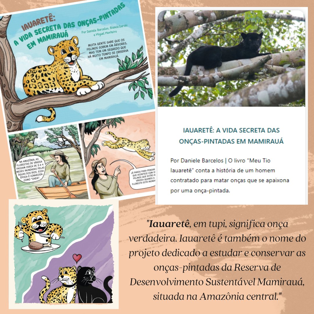 Conexões Amazônicas tweet media