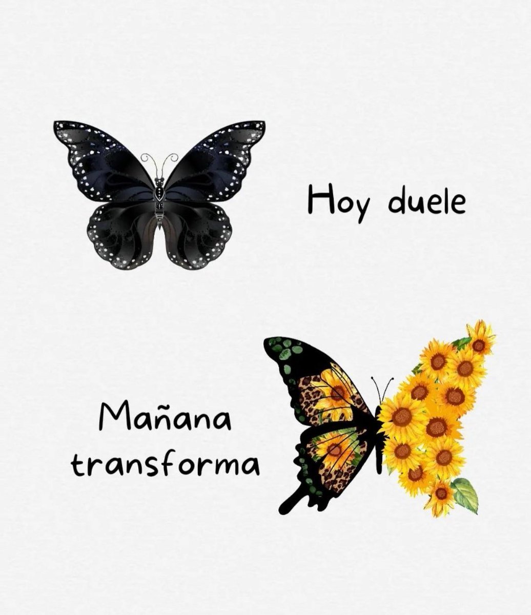 Transforma❤️‍🩹✨