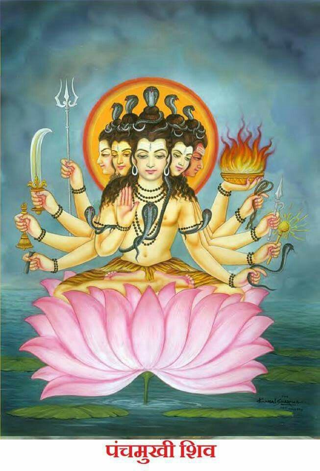 पंचमुखी महादेव दिव्य दर्शन रूपम् गोविंदा ❣️🐚
