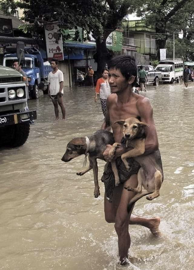 Tun Myint 🌏 tweet media