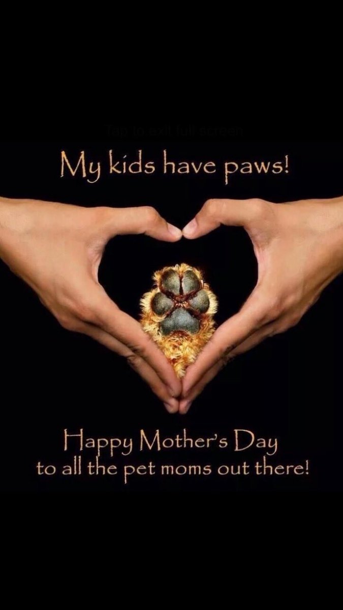…And hooves!  #happymothersday #unconditionsllife #govegan #animalrights 🌺❤️🐄🐂🐖🫏🦙🐕‍🦺🐐