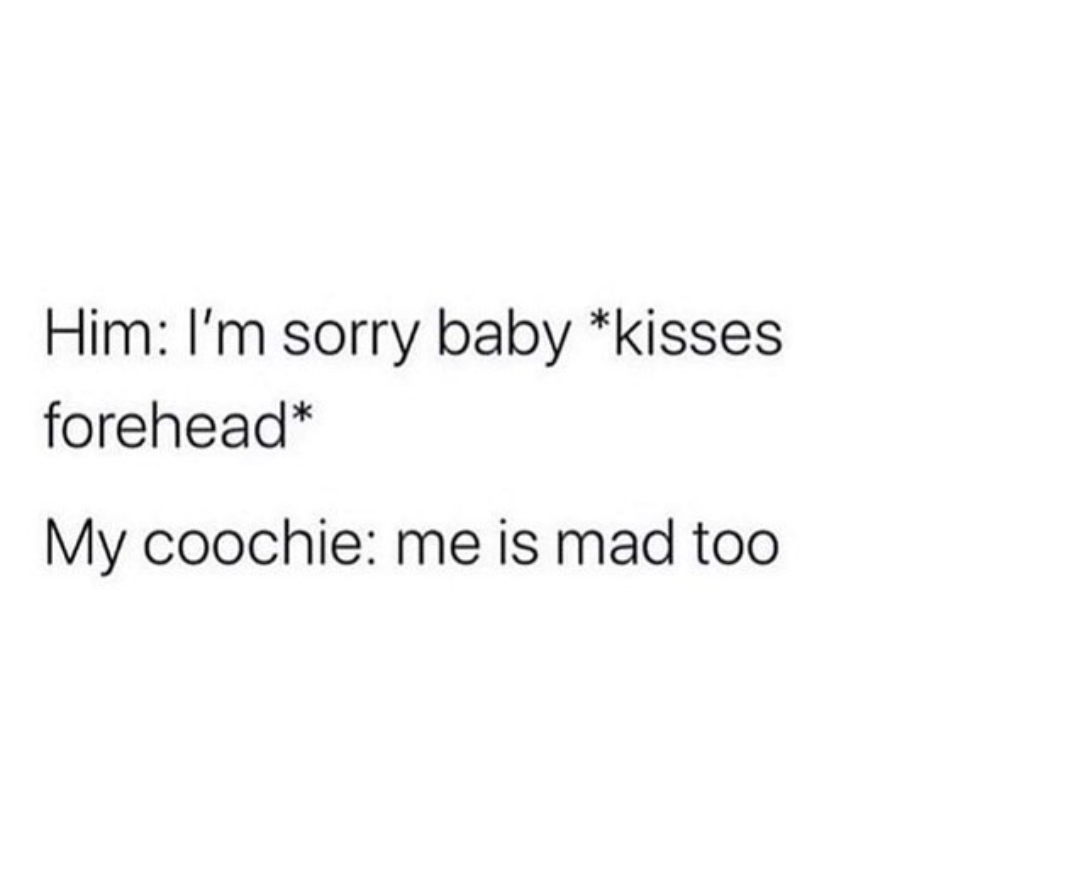 ohyeahtoys's tweet photo. Do not half ass the apology, show me how sorry you are 😹

#sorry #coochie #pussy #apology #sexjokes https://t.co/wV7XTEEhKU