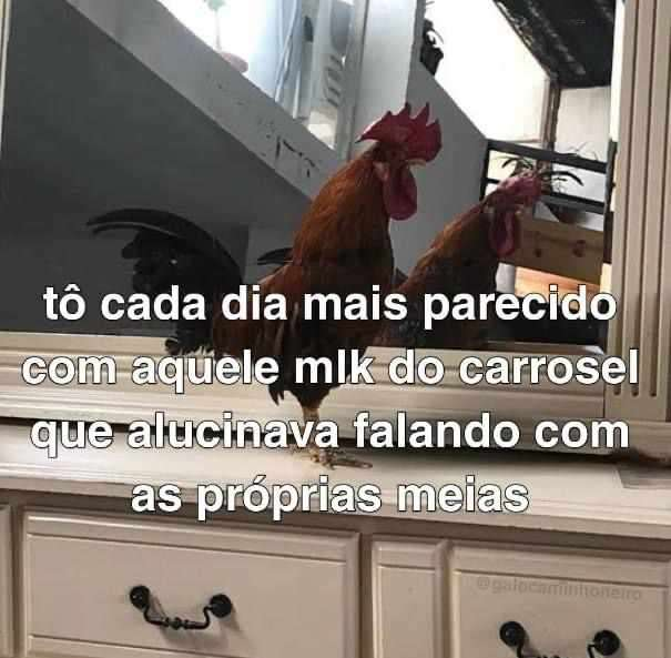 diojorange's tweet photo. https://t.co/NuWuHSElD6