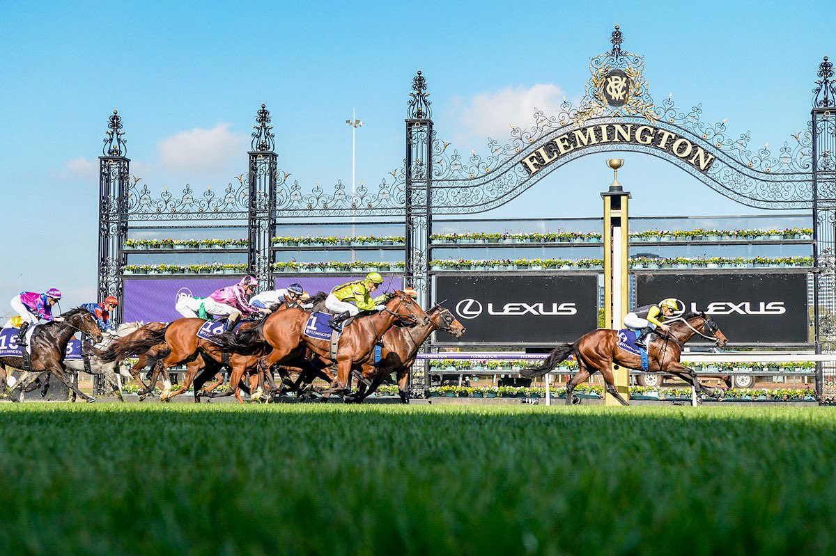 StableConnect tweet media