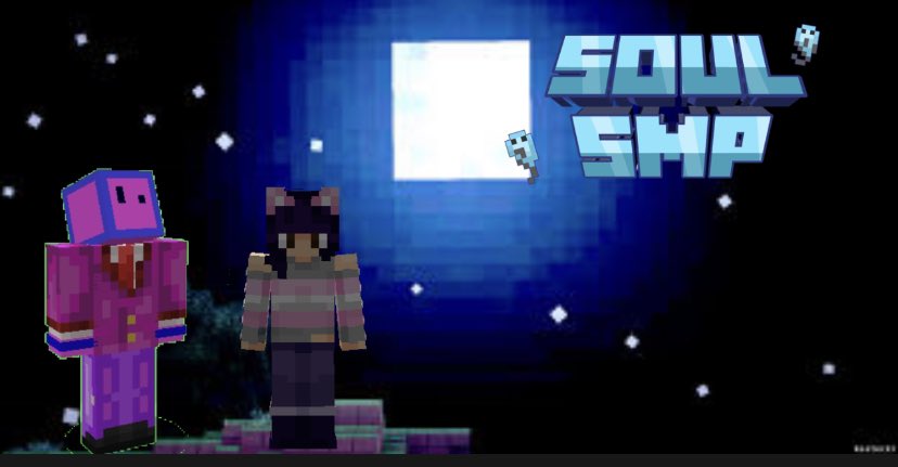 SoulShard SMP tweet media