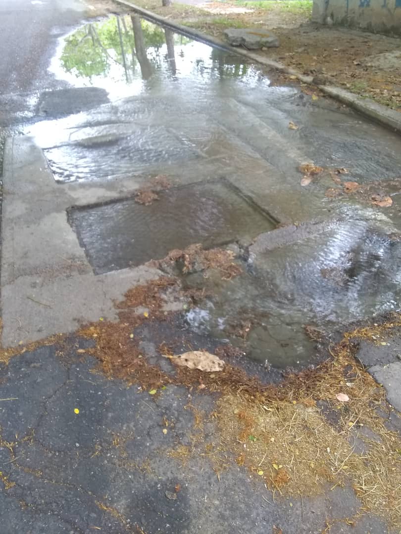 VecinosStaInes's tweet photo. Siguen los 2 botes de aguas blancas en la Av ppal de Santa Inés. Reportados hace más de un mes. Impide el suministro a las cotas altas! Reportes @VenAppSocial 1709159 y 1709107. @HidroCapital2 @harolclemente @minaguasoficial @RMarcoTorres @_Vpsops @NestorLReverol @luisaguilar https://t.co/IKLQANWh4y