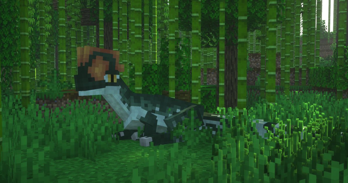 FossilsRevival's tweet image. HELLO EVERYONE! We wanted to let you all know of a pretty major change coming up to our plans. 

🧵...