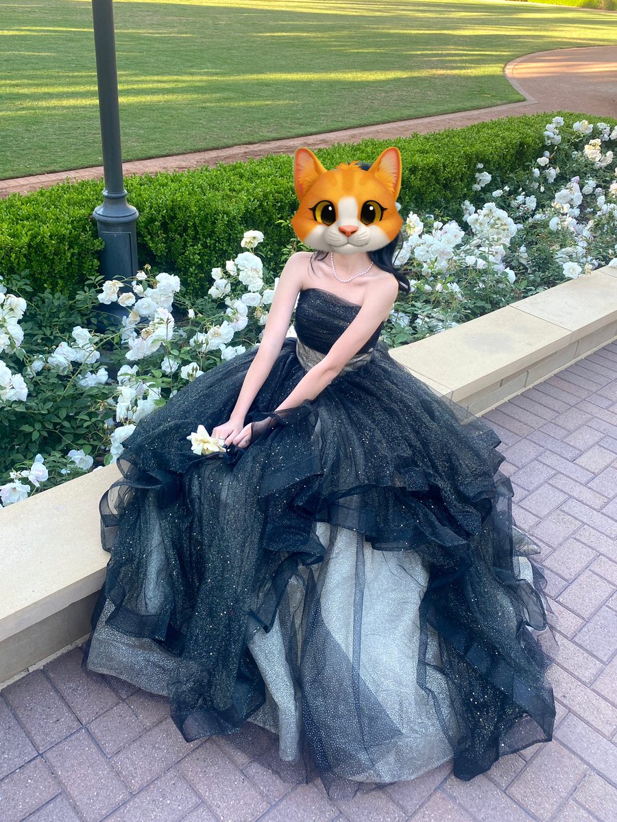 AnnhLam's tweet photo. Sell my prom dress, dm for more https://t.co/dJdOMZPQXU