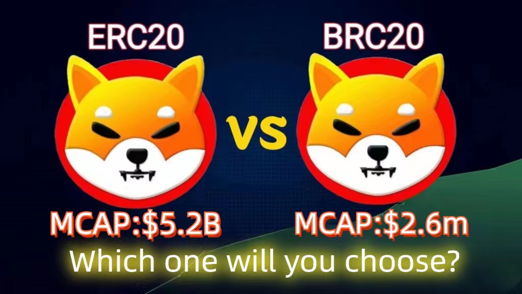 CG_BRC20's tweet photo. btc520✖️CG： 
为了响应BRC20 $shib 去0运动！

3亿枚 $shib x 10份（30亿枚总价值近100U）

1⃣关注@CG_BRC20 @eth520eth 
2⃣点赞+转推 
3⃣评论@三位好友 ，并留bc1p址（必须是还未持有shib新地址）

⏰48 小时后工具开奖。

#Bitcoin  #Ordinals  #brc20 https://t.co/an18rKkNqC
