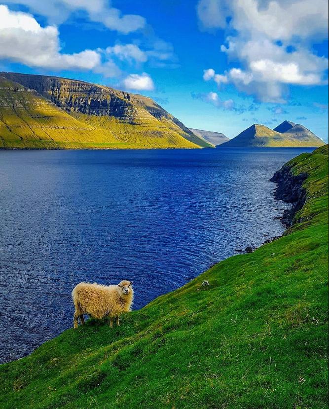 🇫🇴the Faroe Islands 
#travel #nature #scenery #photographyenthusiasts