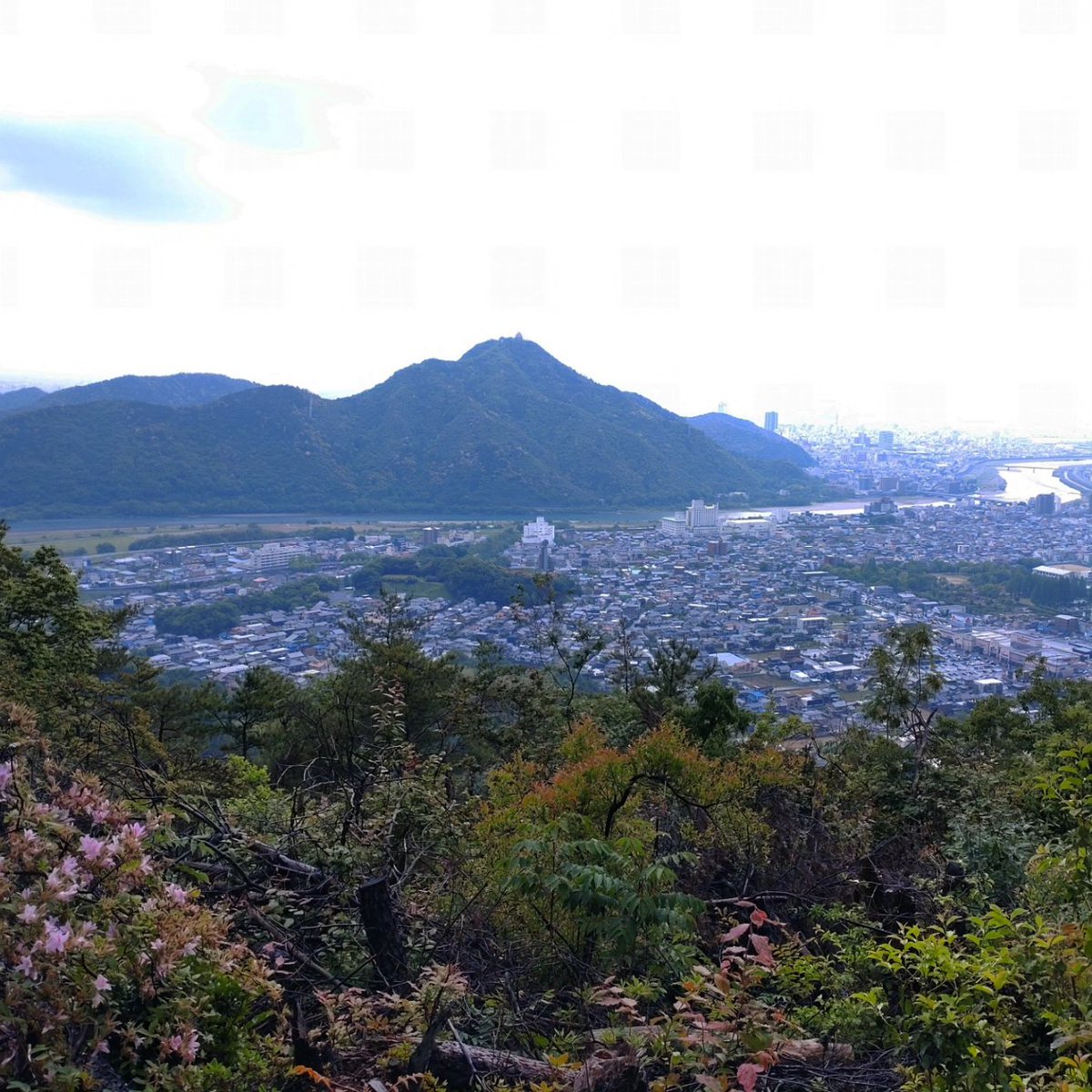 休日登山でウリ坊との出会い🥰
ちっちゃな子供だから良かったけど😅

岐阜城がある金華山が見える展望🏯

#途中雨降り出したから一瞬で下山
#雨が多い週末歴探できず