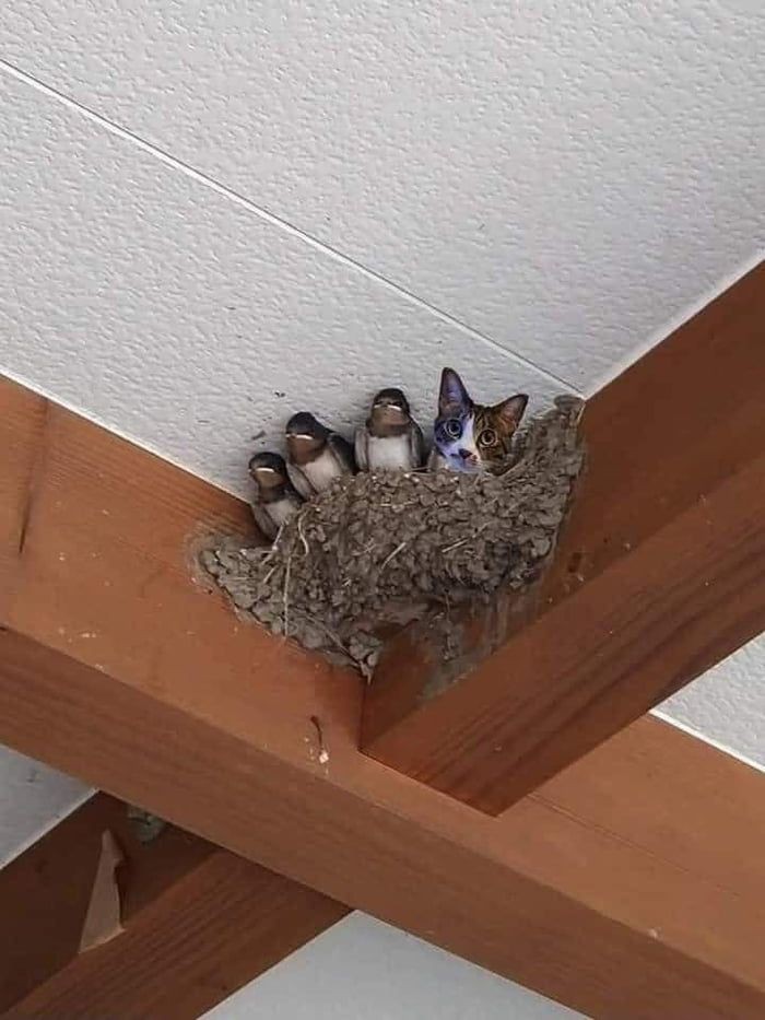 place where car shouldnt be (@carshouldnt) on Twitter photo 