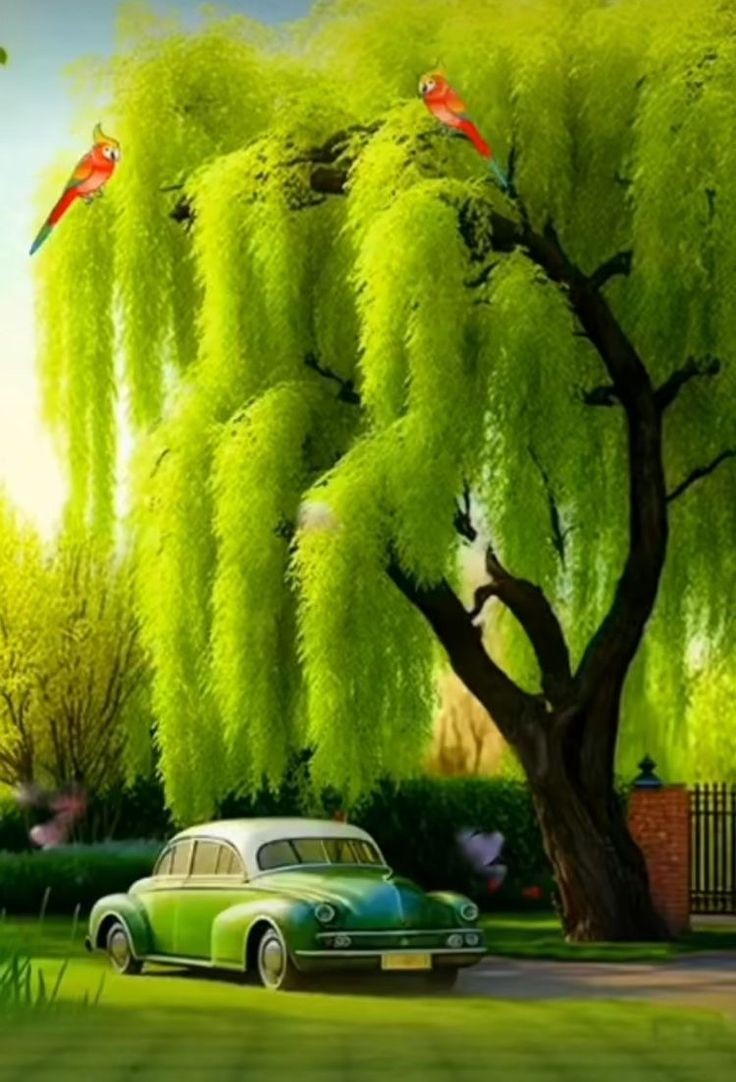 💚💚💚💚💚💚💚💚💚💚💚
💚💚💚Just beautiful💚💚💚