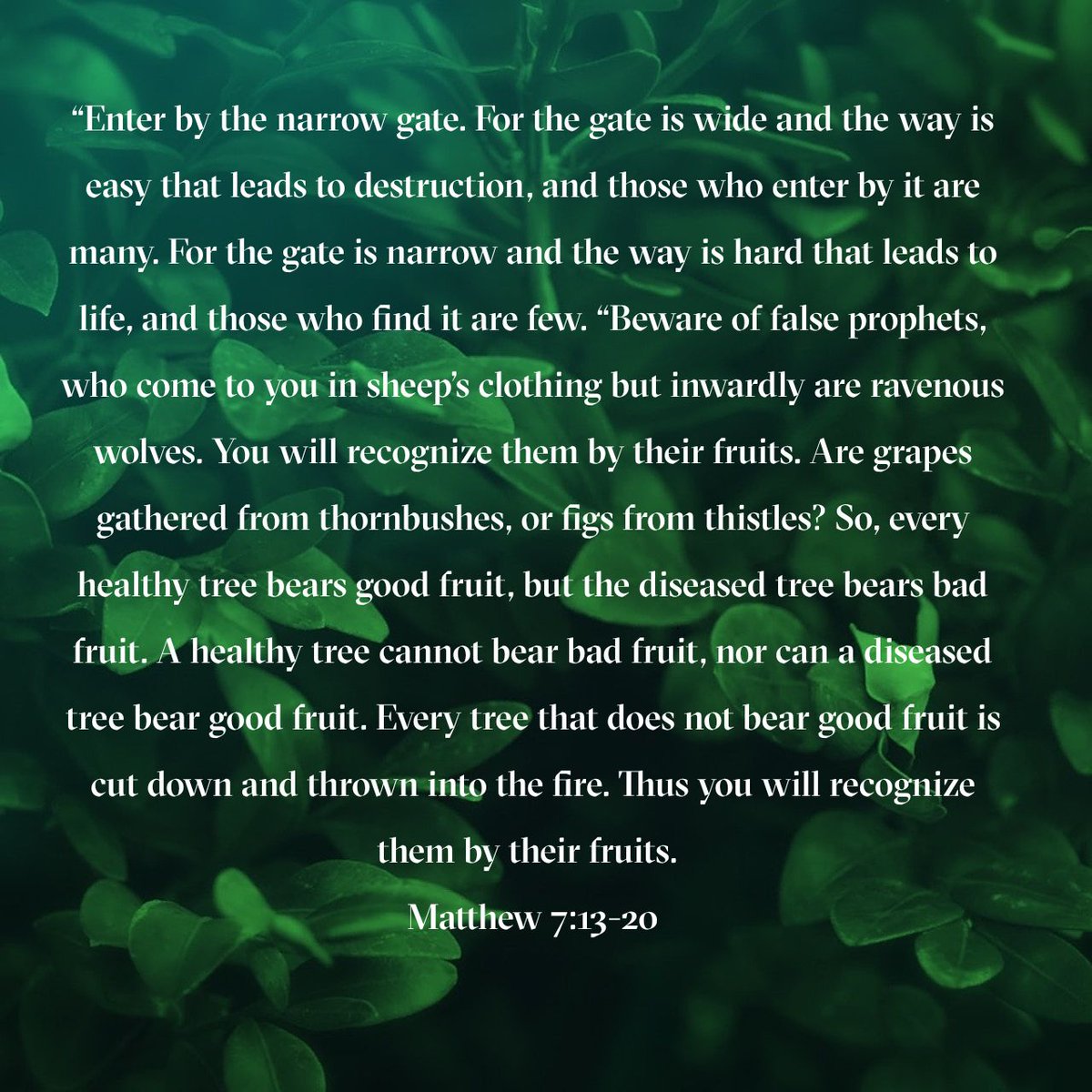 RyanJSedore's tweet image. 