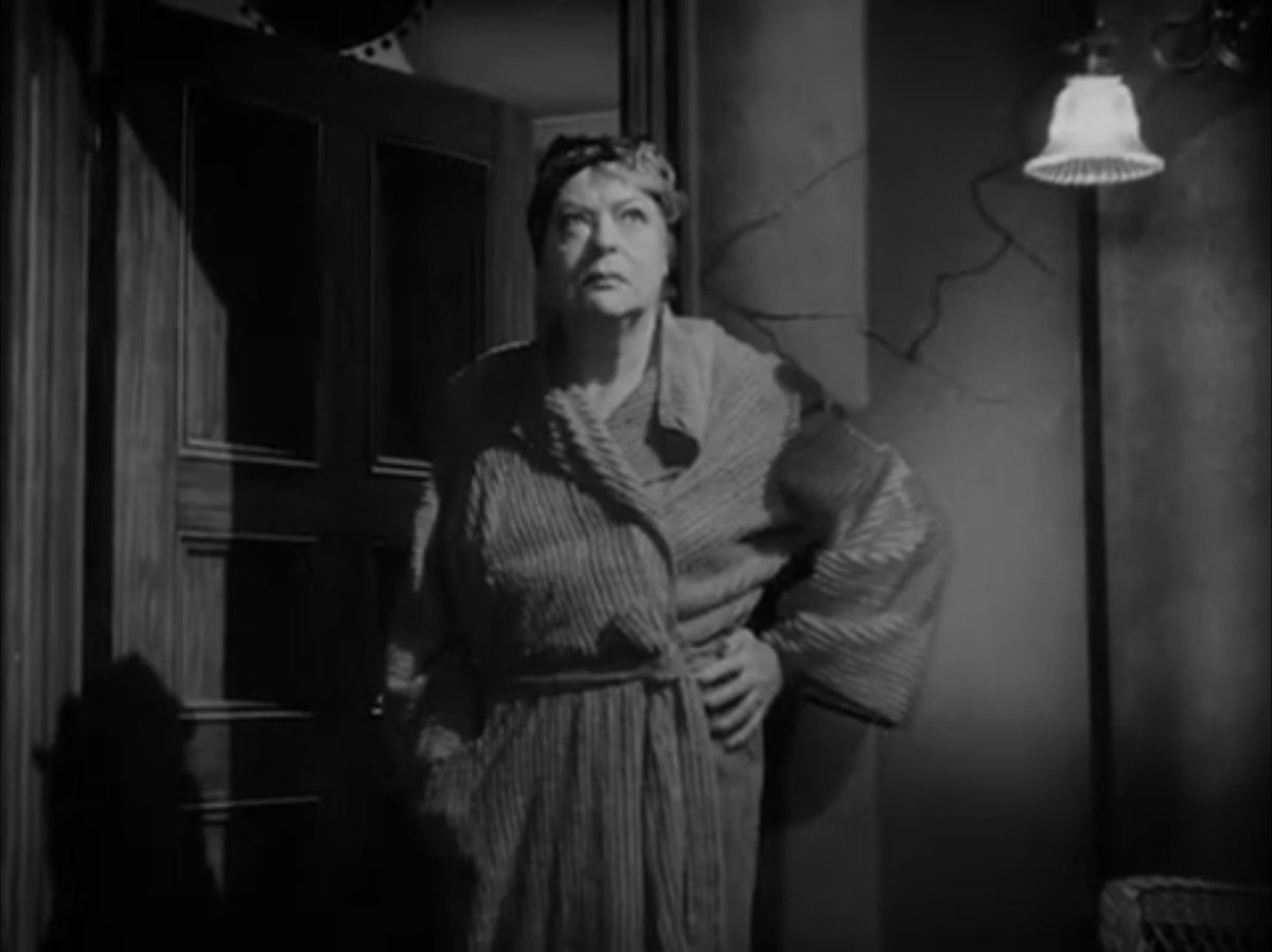 And our #BNoirDetour leading ladies this week are Faye Emerson and Mary Boland (also pictured is Zachary Scott)
#GuiltyBystander #FayeEmerson #MaryBoland #FilmNoir