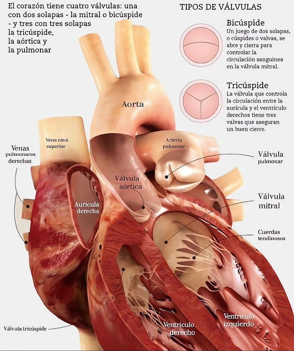 Comunidad Biológica on Twitter 