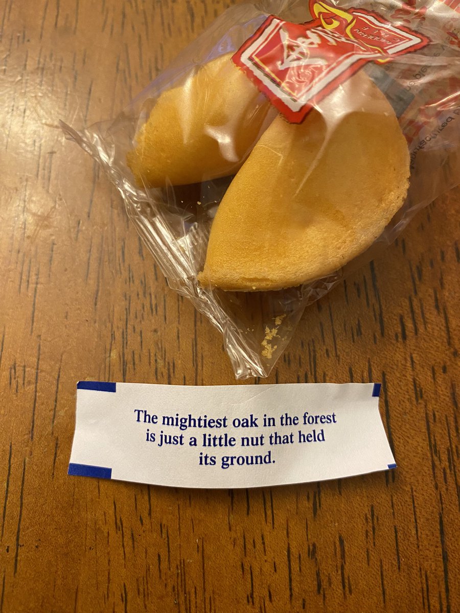 My fortune cookie seems to know the cover reveal for OLLIE, THE ACORN, AND THE MIGHTY IDEA is tomorrow. Are you excited?!? 🌳 Here’s to all the little nuts that held their ground. @AndrewCHacket @PageStreetKids #CoverReveal #OllietheAcorn #picturebook #kidlit #picturebook