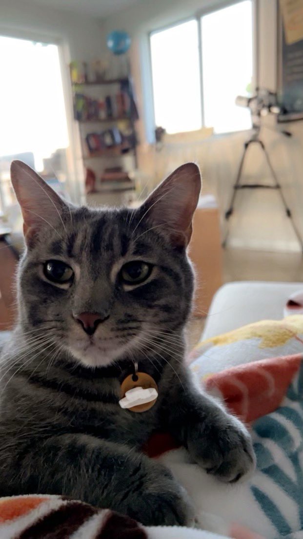 m_warren95's tweet photo. Post a picture of your pet and a picture of what they're named after and let people try to guess their name. https://t.co/ywgsC5MV5r