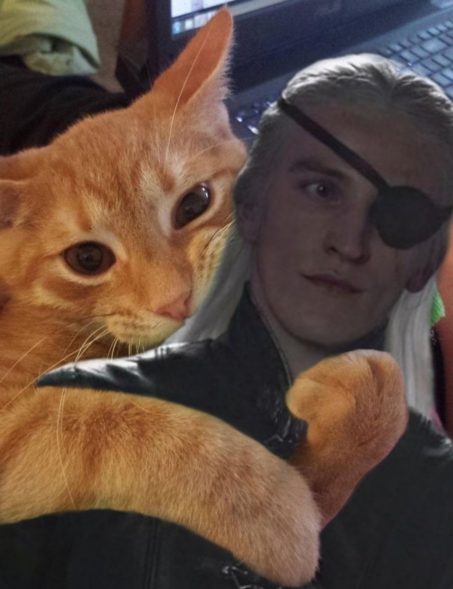 FwIm0DsaQAADBaZ?format=jpg&name=medium