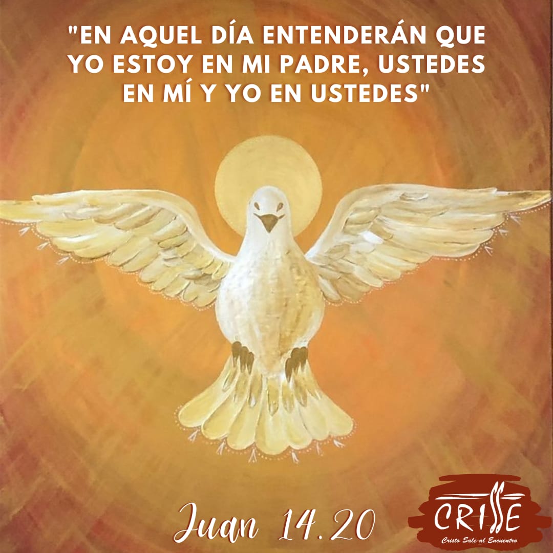 CrCrisse's tweet photo. EVANGELIO DE HOY 💭✝️
Hoy encontramos a Dios en nuestros corazones a través del espíritu santo, llamándanos a corresponder generosamente a la llamada evangélica, al amor, poniendo a Dios en el centro de nuestra vida y dedicándonos al servicio de los hermanos. https://t.co/Y4ARACJfq3