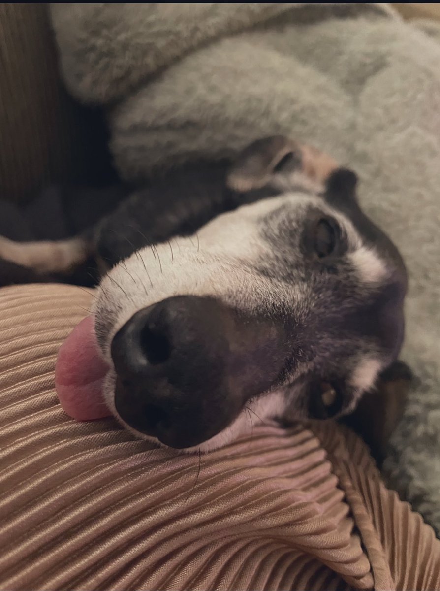 ✨Leah✨ tweet media