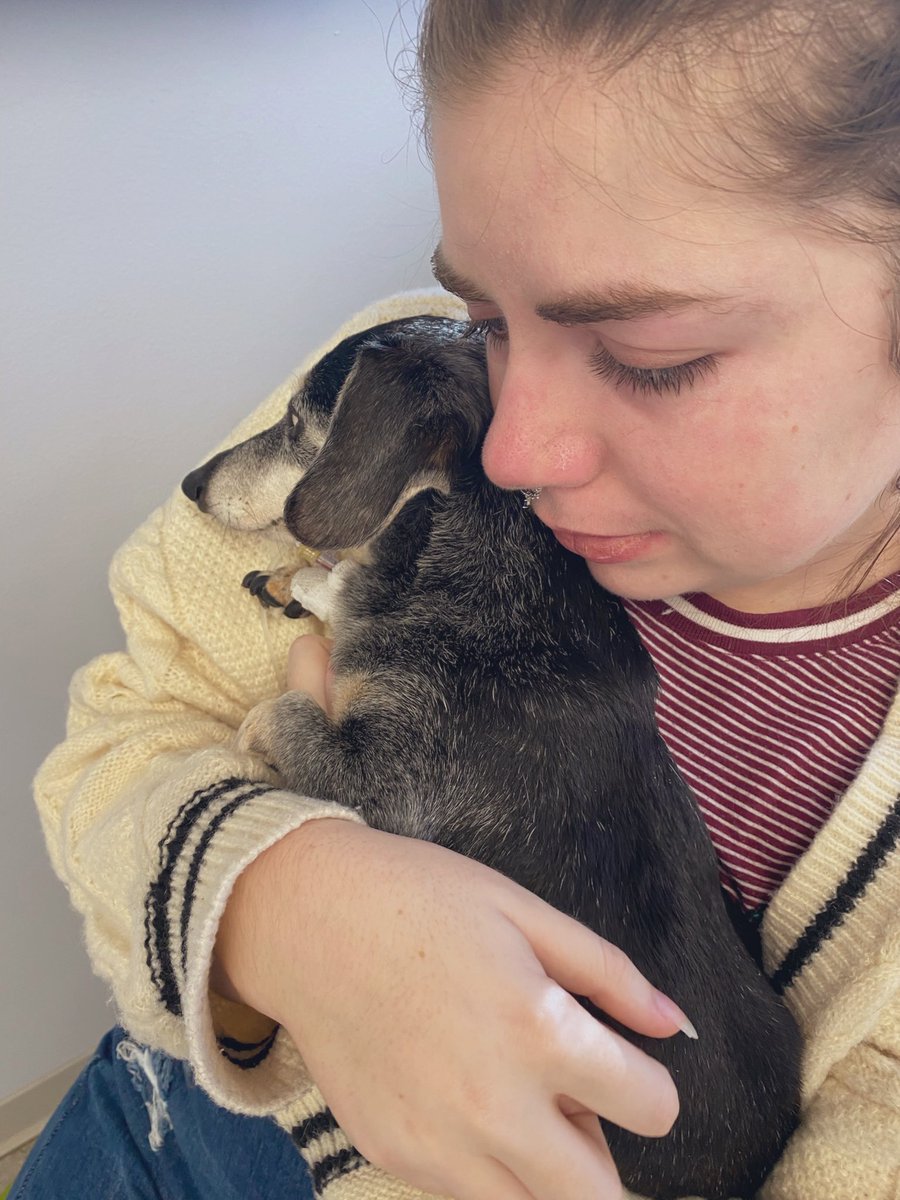 ✨Leah✨ tweet media