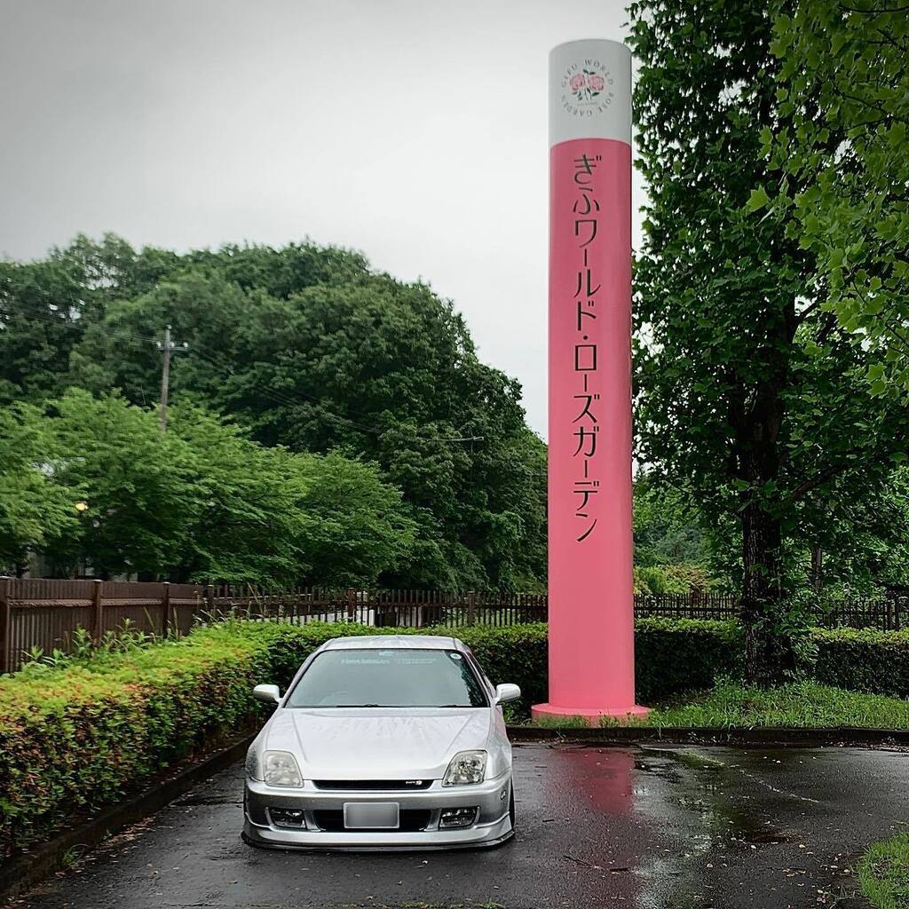 ネコダンナ (@tpf_japan) / Posts / X