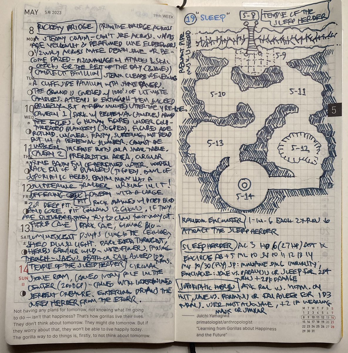 Week 22 of #dungeon23 - across a steamy chasm, a rickety bridge leads to a cavern filled with soporific herbs - and a strange group who seemed to be under their influence for some ritualistic purpose.