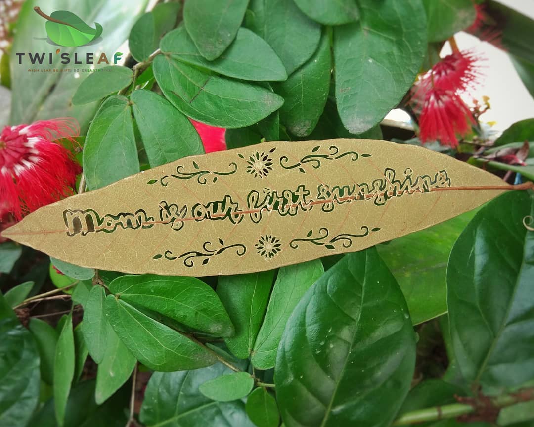 amuri_twis's tweet photo. 🌿 「与えてくれたすべてにありがとう」
#母の日 #葉っぱ切り #leafcuttingart https://t.co/0apZ0HnoZg
