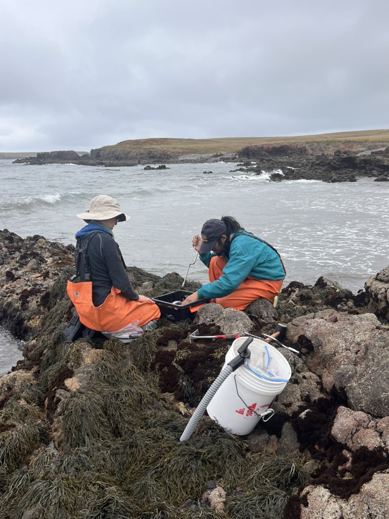 Dr. Nyssa Silbiger (@nsilbiger) on Twitter photo After Covid related delays followed by atmospheric river delays the <a href="/SilbigerLab/">Silbiger Lab</a> finally made it to our beautiful and very remote field site! #NSFFunded #remotescience After Covid related delays followed by atmospheric river delays the <a href="/SilbigerLab/">Silbiger Lab</a> finally made it to our beautiful and very remote field site! #NSFFunded #remotescience