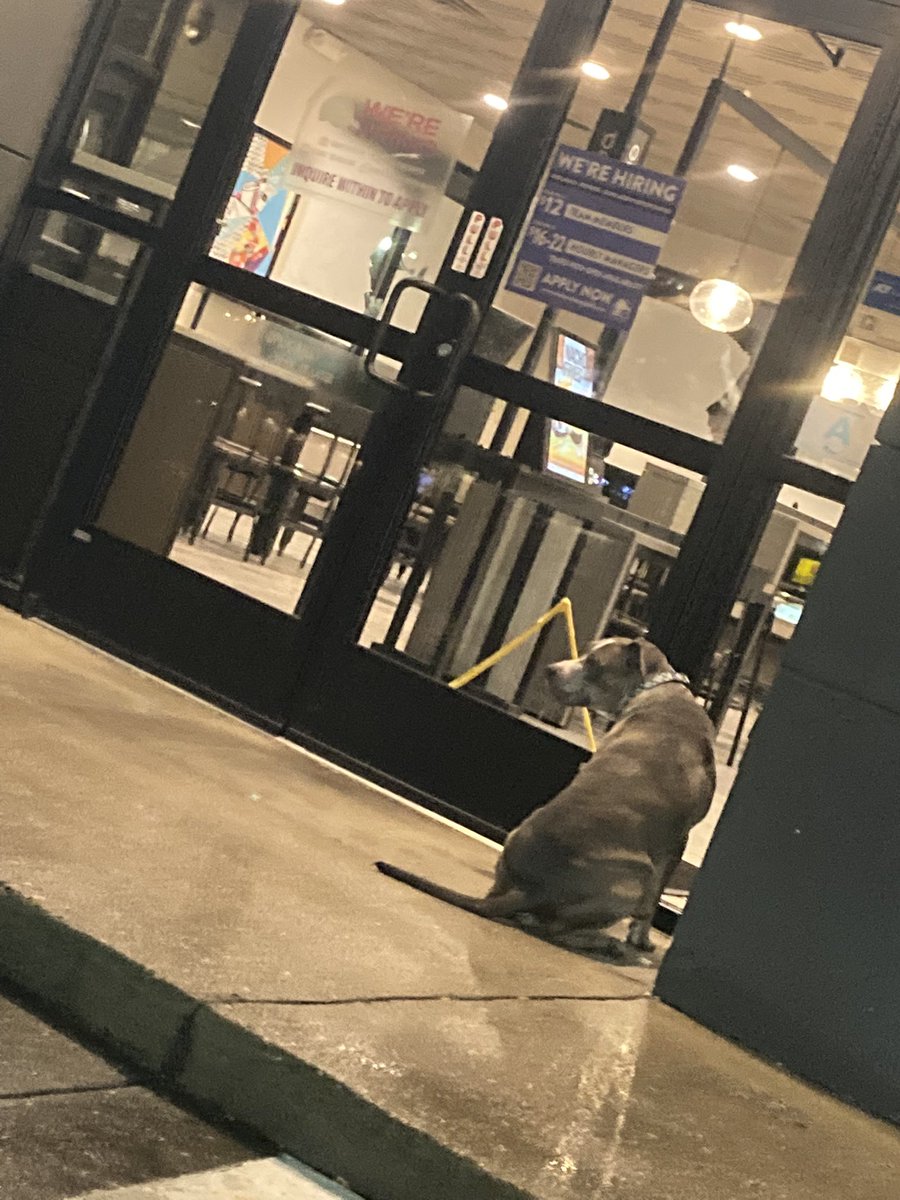 tyler_levon's tweet photo. I couldn’t let this little guy stay stranded outside of Taco Bell. The sweetest pitbull I’ve ever met, my 30 minute bestie. He’s with Greenville Animal Care. Hope you find your family pal 🐶❤️❤️❤️❤️✨ *I cried when he had to go* 🥹 https://t.co/QL4UfN71dI