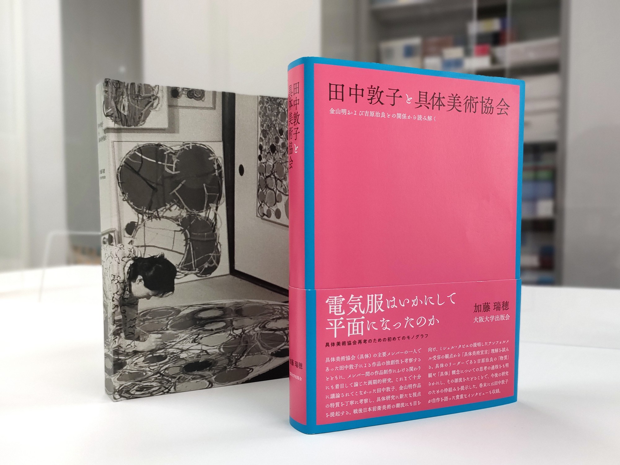 田中敦子 カタログ・レゾネ 限定1300部 - アート/エンタメ 田中敦子 カタログ・レゾネ 限定1300部 - アート/エンタメ