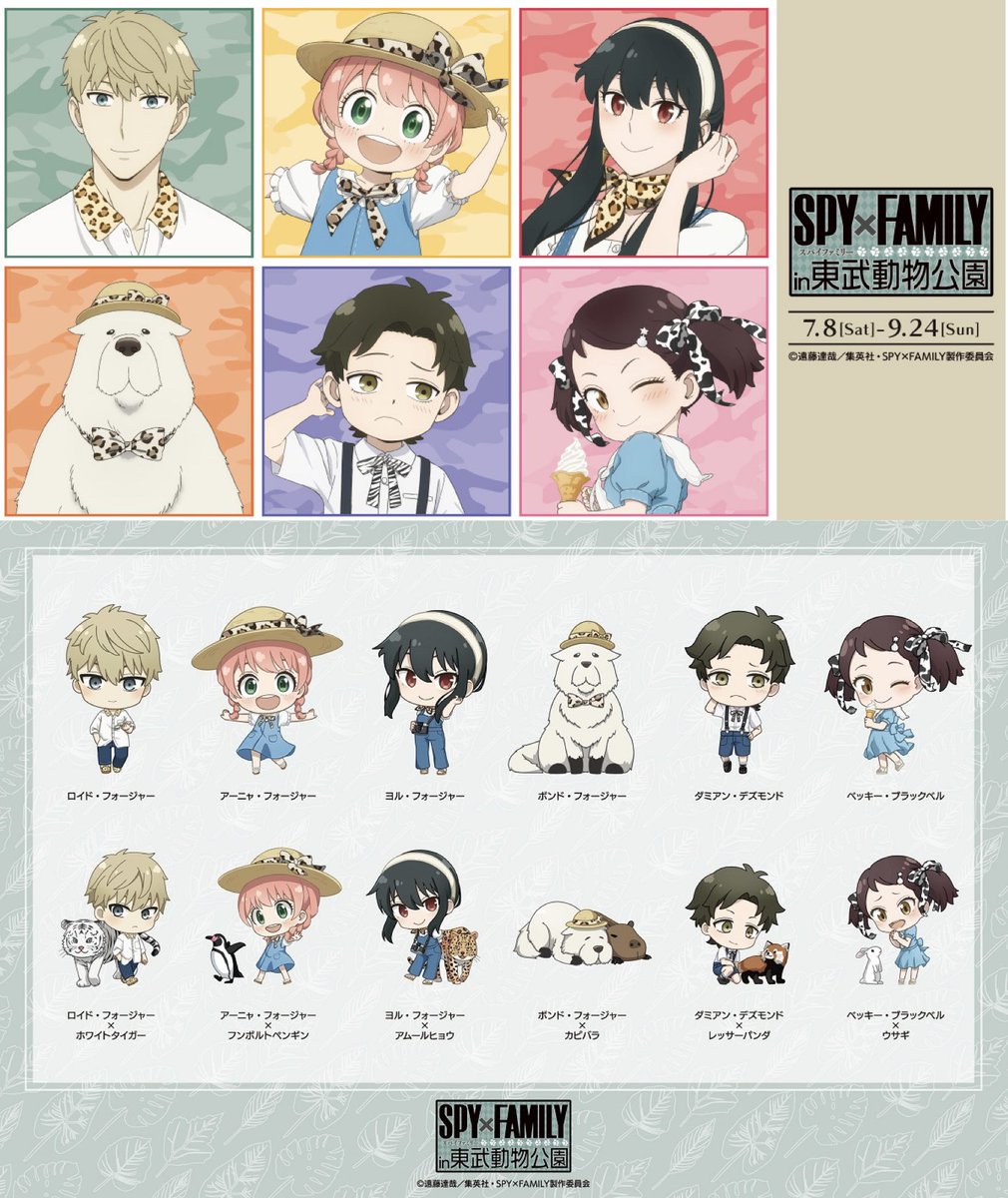 SPY×FAMILY ( スパイファミリー ) グッズ情報 on X: SPY×FAMILY ( スパイファミリー ) グッズ情報 on X: