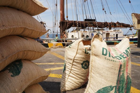 AC_Colombia's tweet photo. Lento pero seguro  viaja con CO2 neutral a Amsterdam con destino final a Appenzell - Suiza  directo a las manos del mejor chocolatero artesanal.  Cacao de Corazón y AC-Colombia consolidan producción de cacao sostenible. https://t.co/yKi247TGEH