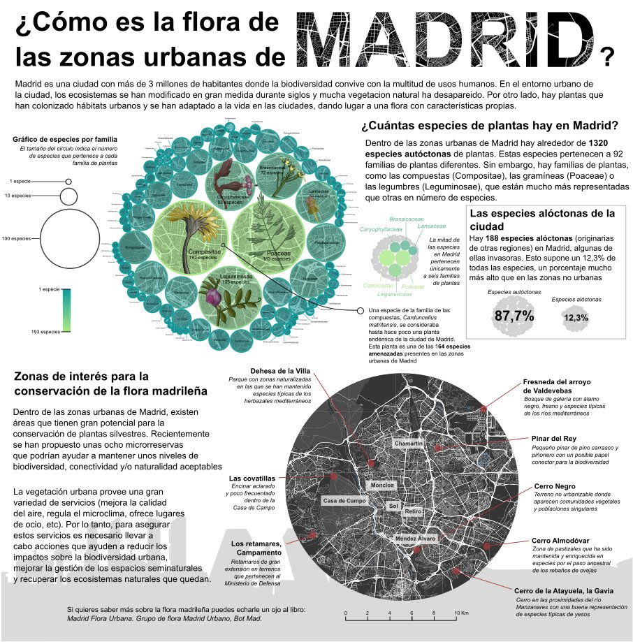 castretis's tweet photo. ¿Cómo es la flora de las zonas urbanas de Madrid? 🌇🌿 Hoy que las chulapas y chulapos se echan a las calles de Madrid a celebrar San Isidro, es un buen momento para dar valor a la biodiversidad vegetal de la ciudad. Os comparto esta infografía y abro hilo (1/8) https://t.co/LWOQv3JiGA