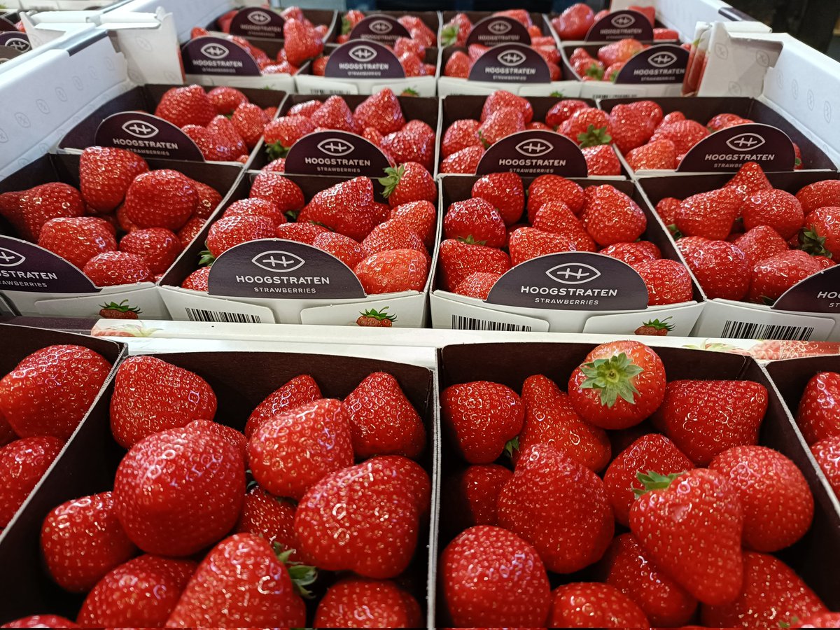 Summer is almost here!

Scottish strawberries and Dutch strawberries, yummy!

Order yours today

#doleglasgow #fruitmarket #Fresh #inseason #availablenow #scottishstrawberries #dutchstrawberries #SCOTLAND #summer