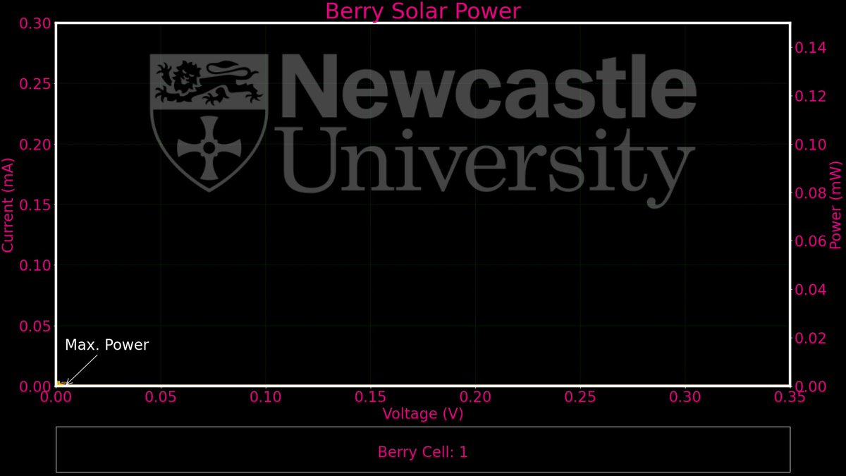 Berry Solar Cells for Berry Future tweet media