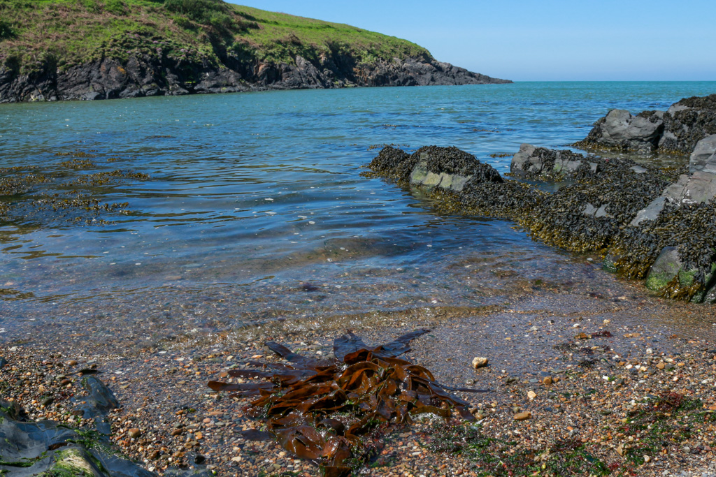 The pebble beach at Ceibwr Bay sits at the end of a deep valley and was once the port for Moylegrove/Trewyddel @ItsYourWales @NTWales @NTPembrokeshire @WalesCoastPath #peoplewithpassion