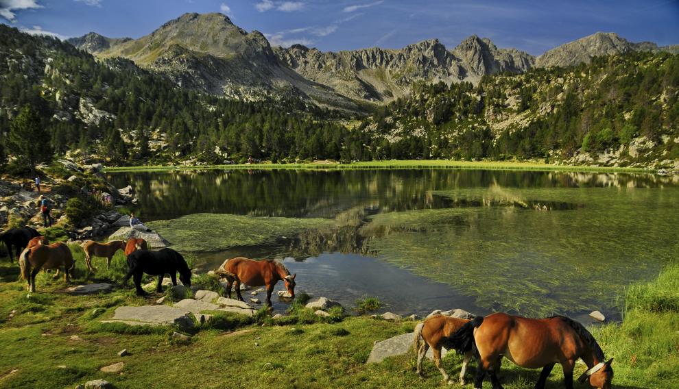 Las maravillas del Pirineo al alcance de la mano:
diariodelaltoaragon.es/noticias/comar… 
Viñuales recorre las alturas de Andorra y la magnificencia francesa, pasando por la magia de Navarra y la escalada catalana.
Con ni nuevo libro de <a href="/viajerosanaya/">Viajeros Trotamundos Anaya</a>.