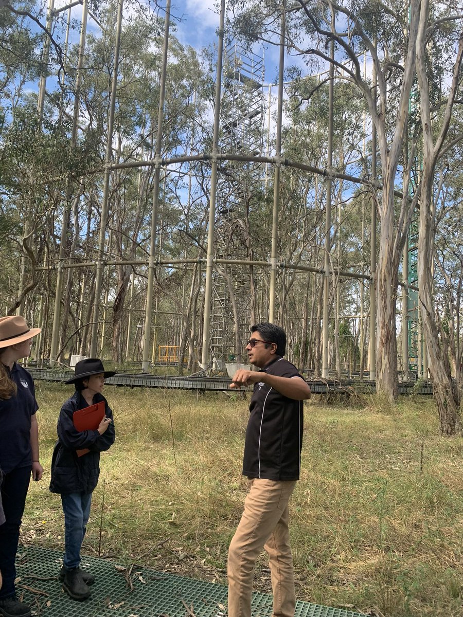 CoE_AgEd_RAC's tweet photo. Year 8 Applied masterclasses with @westsyduhie @westernsydneyu researchers exploring protected cropping and carbon research. Fabulous learning linked to current research. @NSWEducation @mccallumtp @dizdarm #partneredlearning #AgSTEM https://t.co/9aZvPJzEot