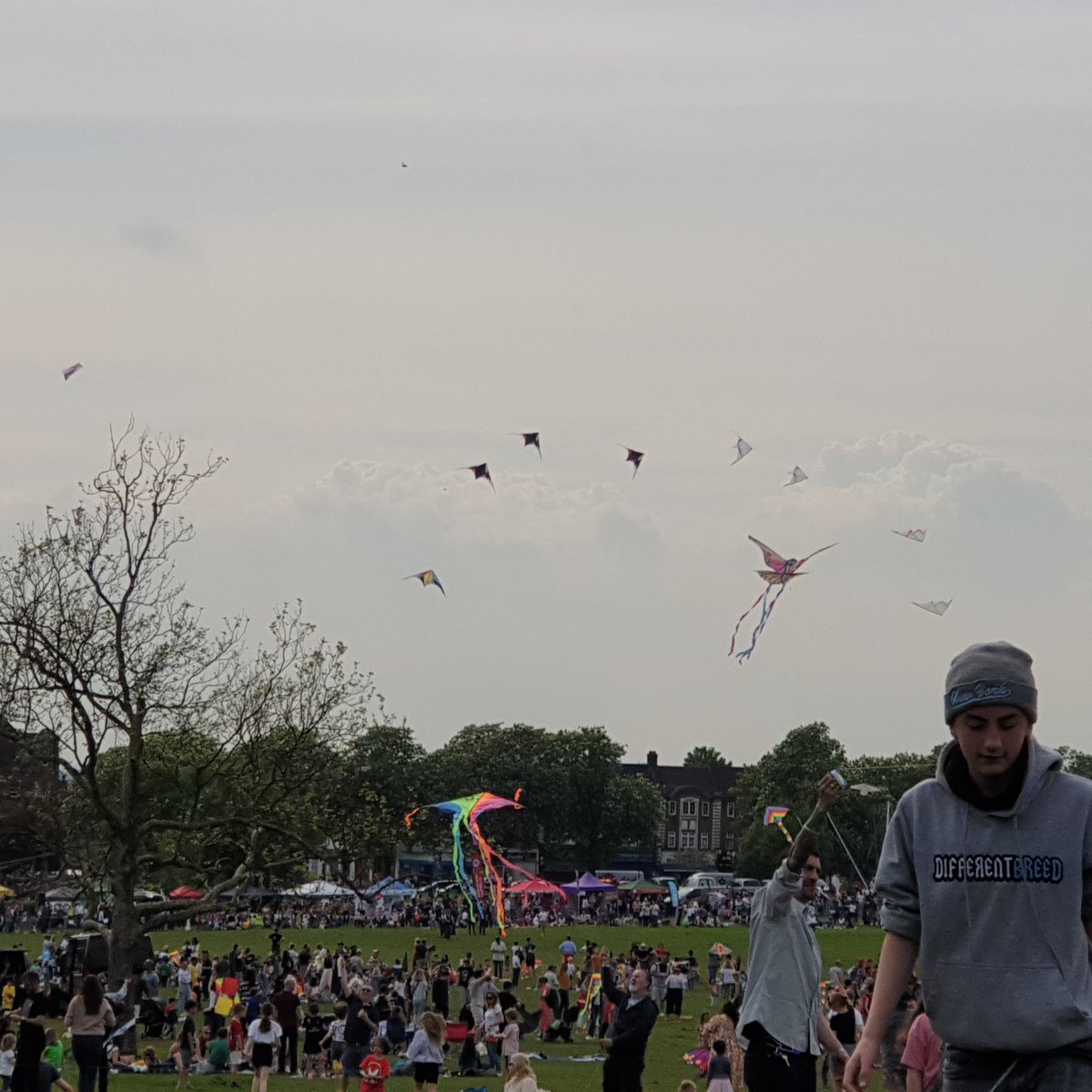 RohanChindooroy's tweet photo. Streatham #KiteDay, thanks @rookery100 #streathamkiteday https://t.co/C5wjM2ndbb