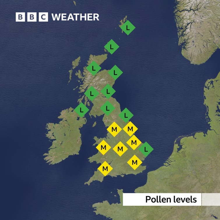 BBC Weather on Twitter "Low to moderate pollen levels are expected across the UK today."