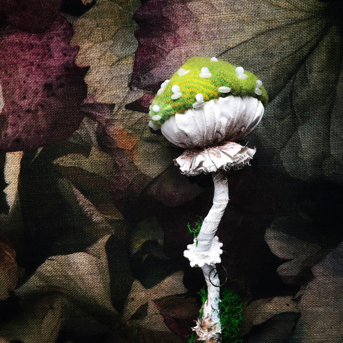 alittlevintage1's tweet image. Beaded fungi sculpture 🍃🍄
#newinstore #handmade #vintagewoolrug #vintagetrim @Etsy @EtsySuccess #etsy #etsyuk #fungisculpture