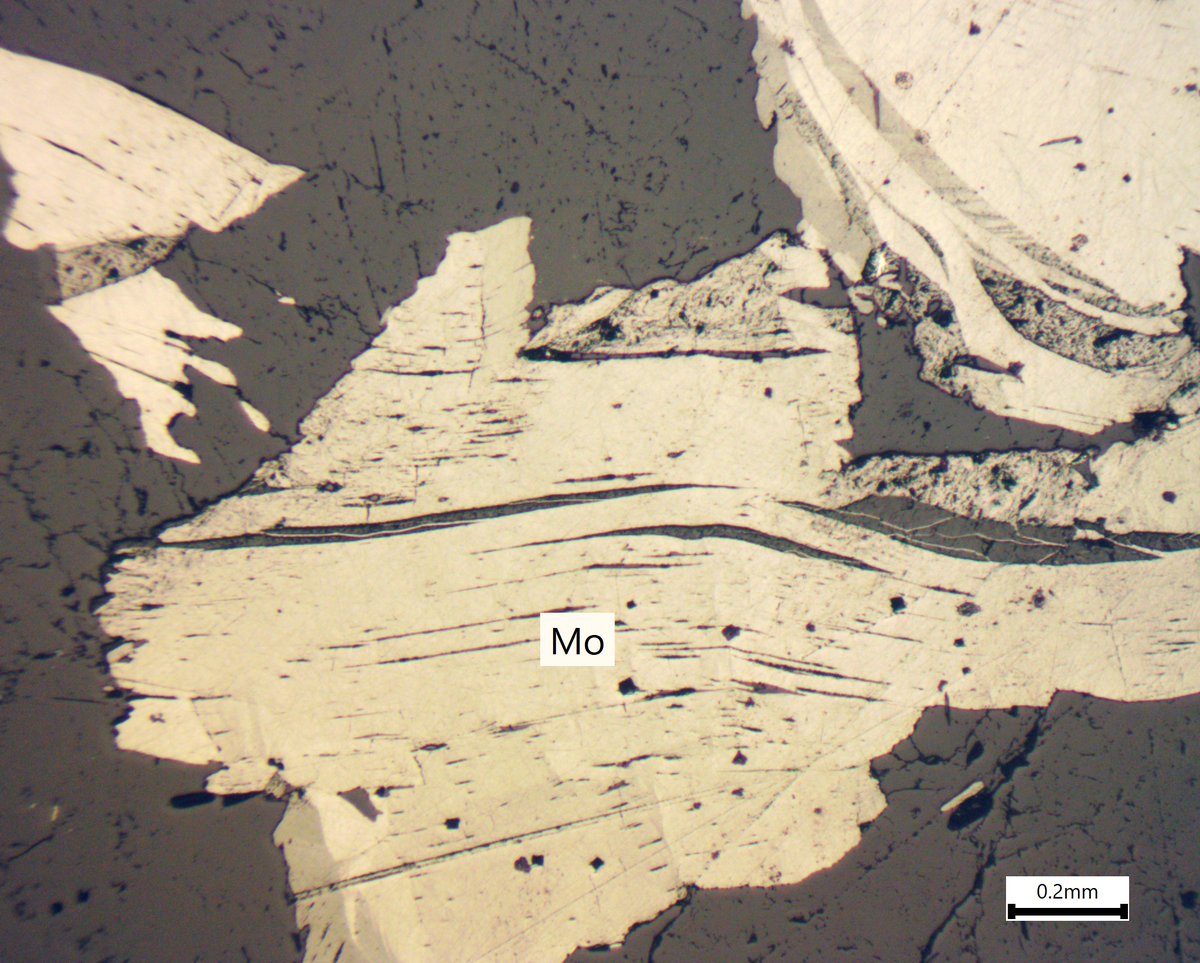 Molybdenite from Easton, Pennsylvania, USA. 

Check out our database of reflected-light images - oregradepetrology.com.au/photomicrograp…

#Geology  #science #minerals #petrology #petrography #petrographyrocks #thinsection #reflectedlightmicroscopy #molybdenite #geoscience