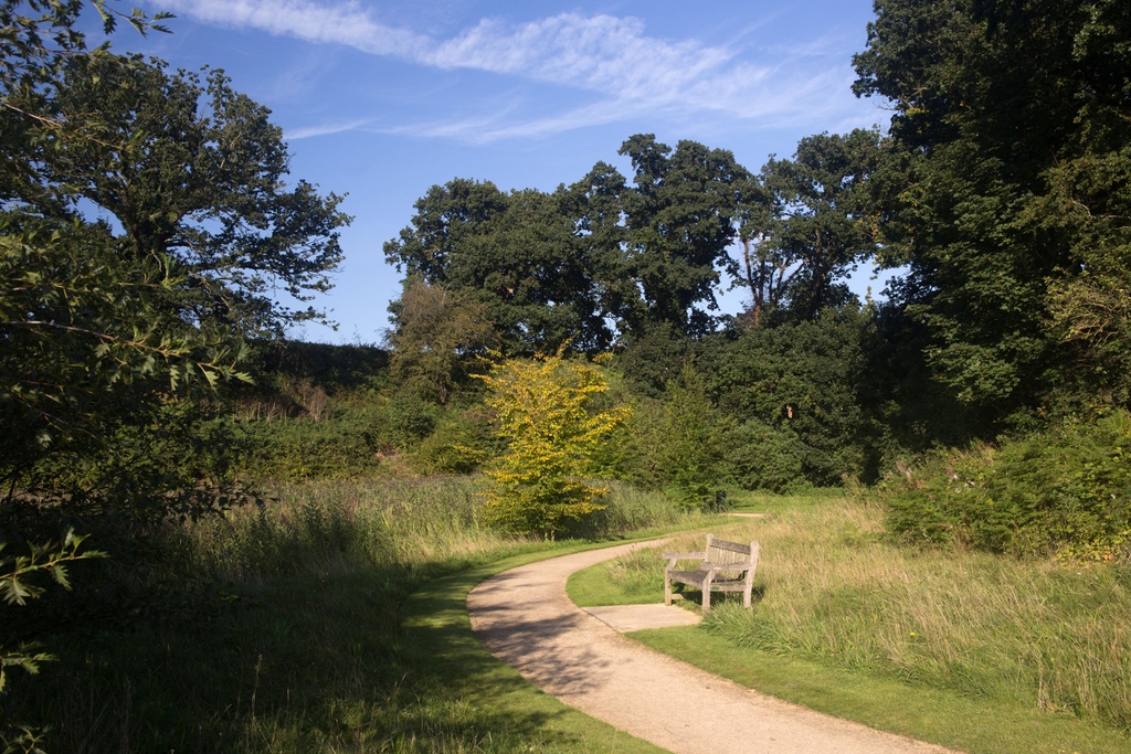 There is a hive of wildlife activity at Broadland Business Park.  We have several brilliant walking routes around the park which enable you to enjoy the wildlife. 
 
#wildlife #business #officespace #norfolk #norwich #workplace #nature