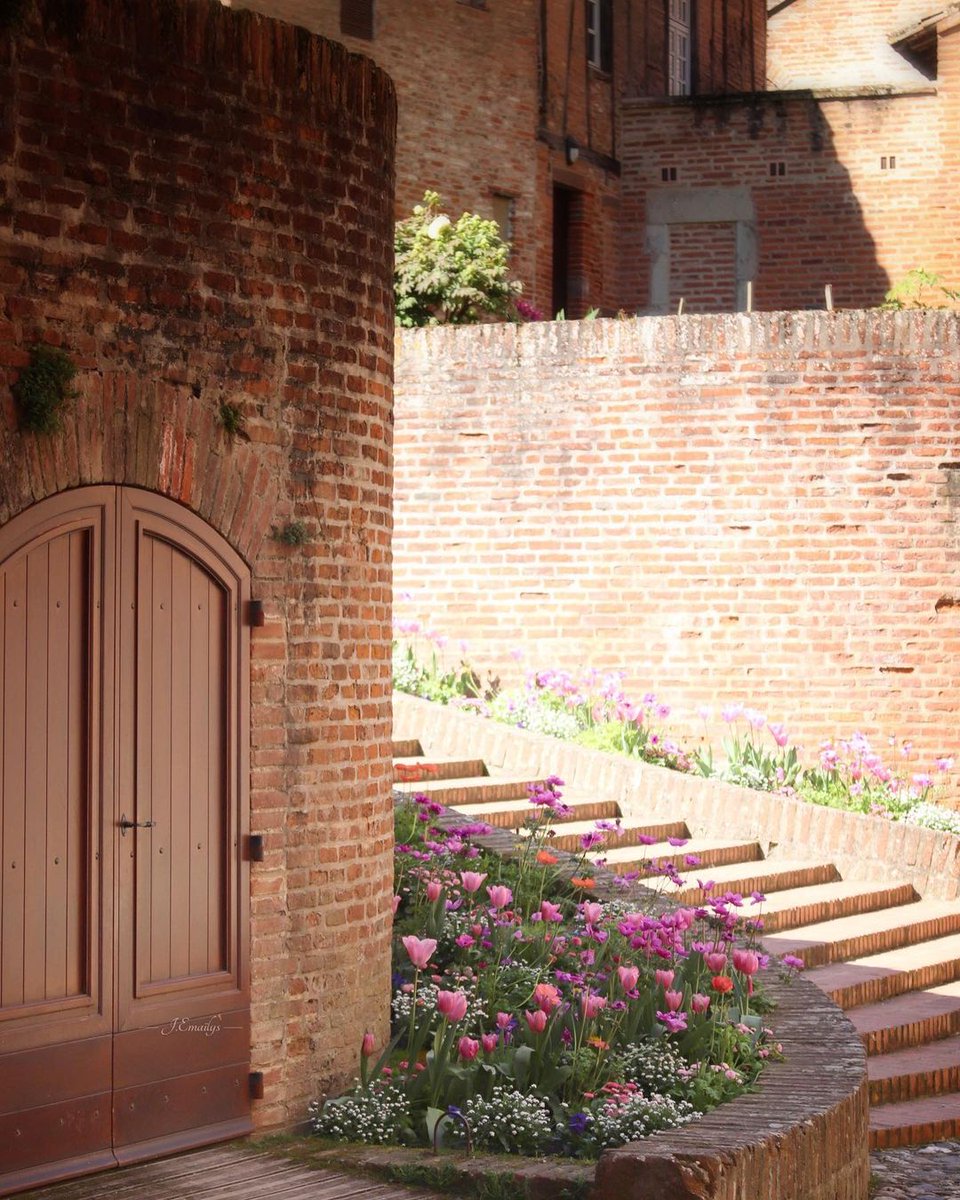 #AlbiEnPhotos
➡Voici une sélection de 4 clichés découverts via #Albi et #partageonsalbi, sur Instagram.
📷flo_pico, mymidlifefashion, lucia.escobar.14 et la.gazette.sauvage .
On se retrouve la semaine prochaine !