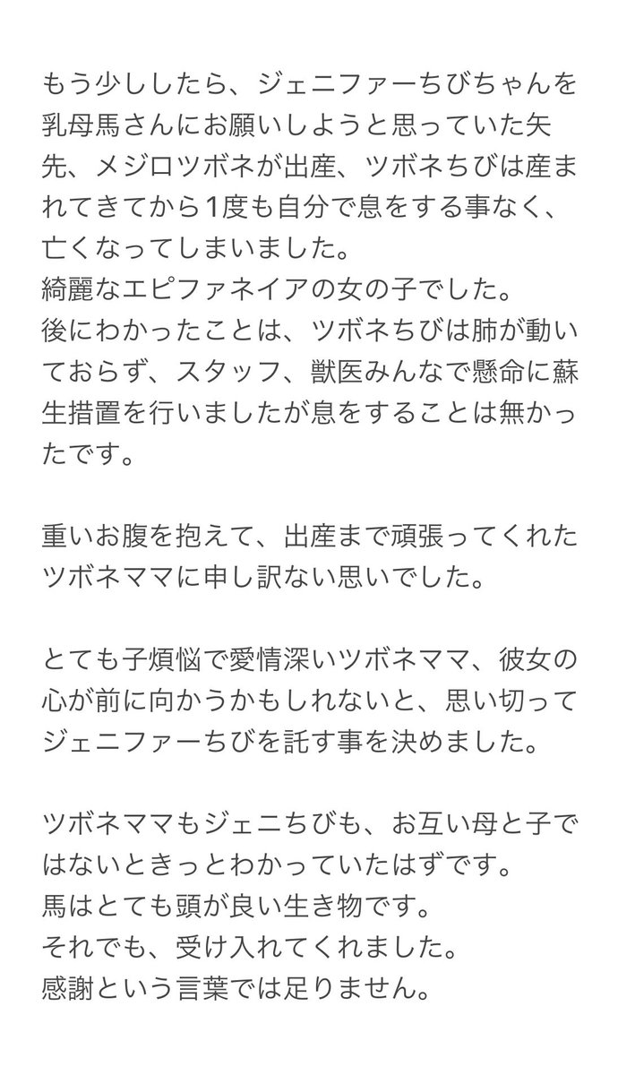 villa_lake's tweet photo. メジロツボネ、メジロジェニファーというお母さんについて、少しお話ししようと思います。

たびたびTwitterに登場してきた、ツボネママとちびちゃん。
実は実際の親子ではありません。
少し長くなりますので、画像に記載しました。

3.メジロジェニファー親子
4.メジロツボネとジェニファーちび https://t.co/hlahGhC5DJ