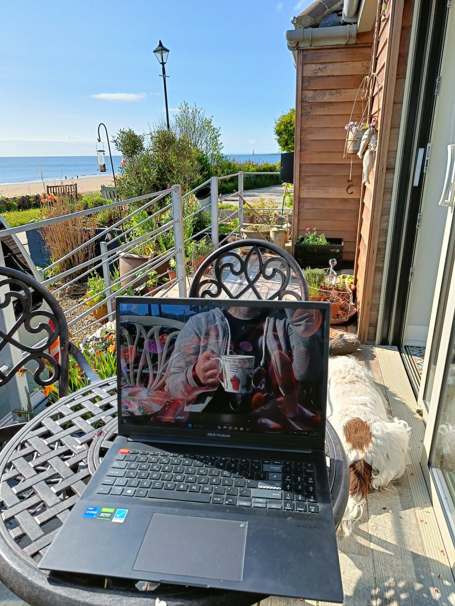 Ashley Bell tweet media